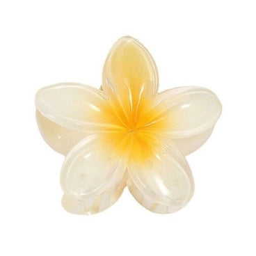 Tiburón Hawaii - COMERCIALIZADORA DE ACCESORIOS Y PRODUCTOS DE BELLEZA SPA