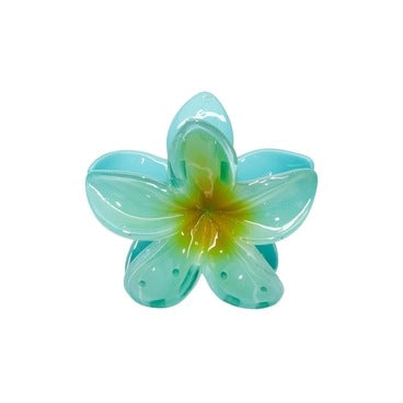Tiburón Hawaii - COMERCIALIZADORA DE ACCESORIOS Y PRODUCTOS DE BELLEZA SPA